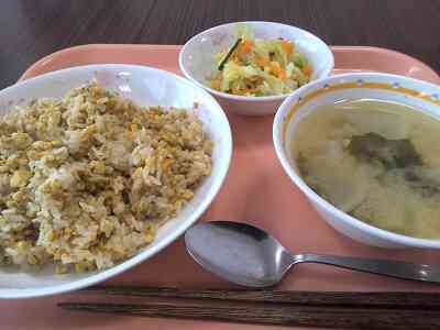 給食