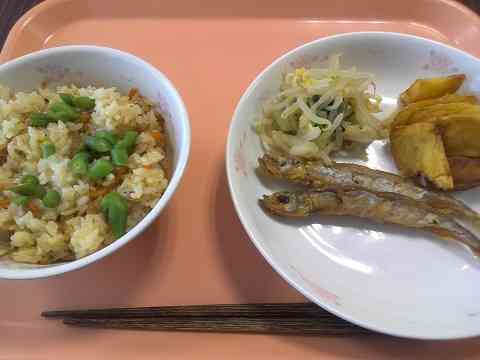 給食