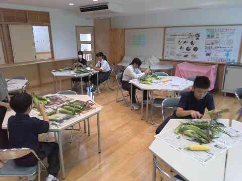 給食１