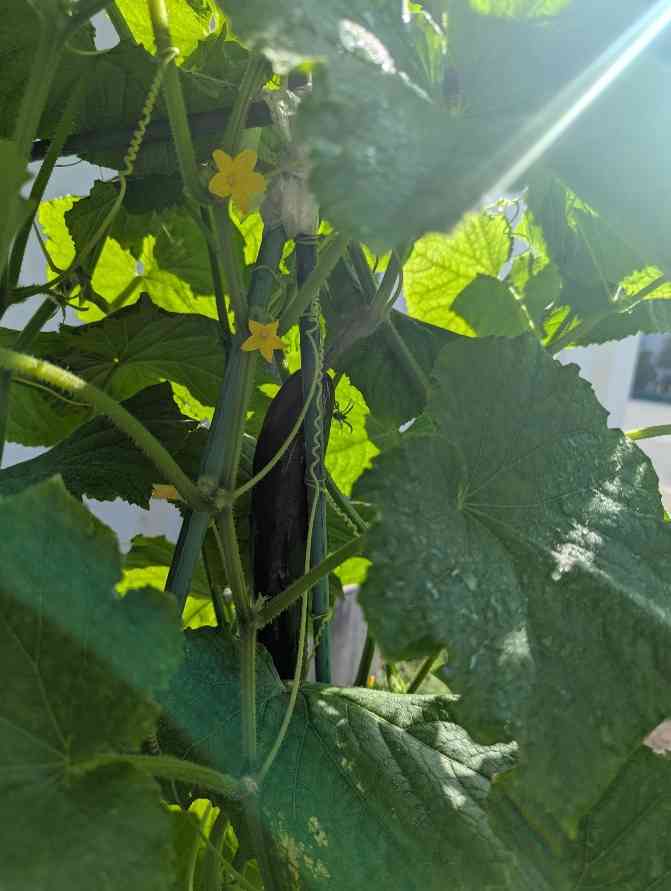 PXL_20250709_225752728