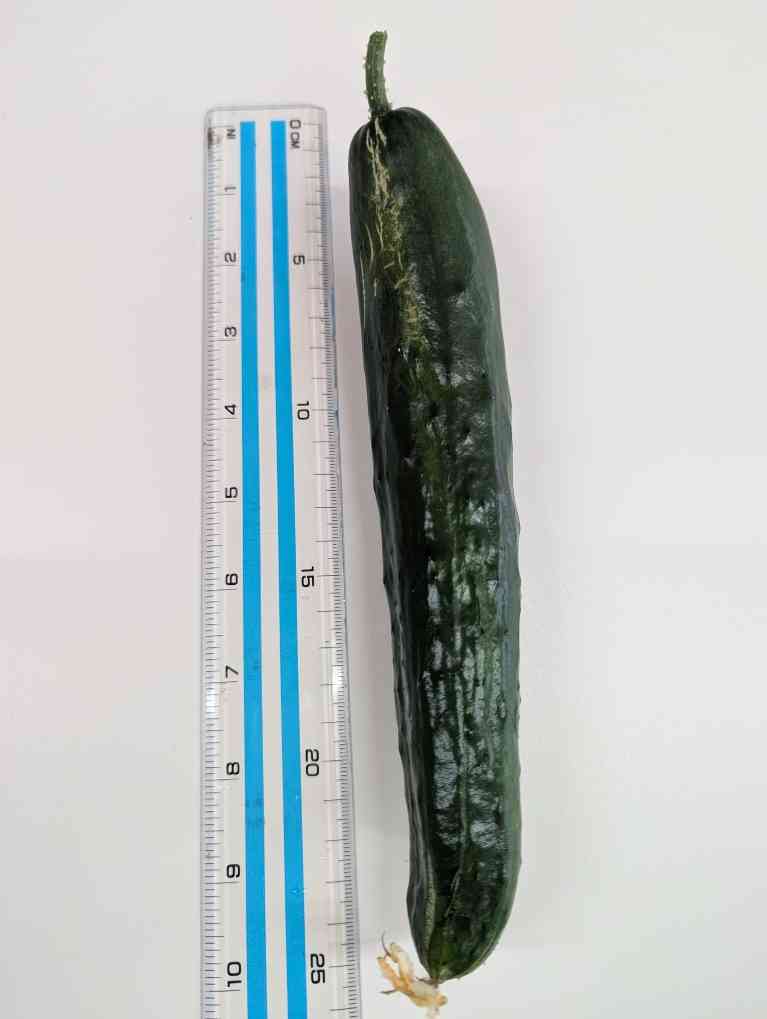PXL_20250710_015554069