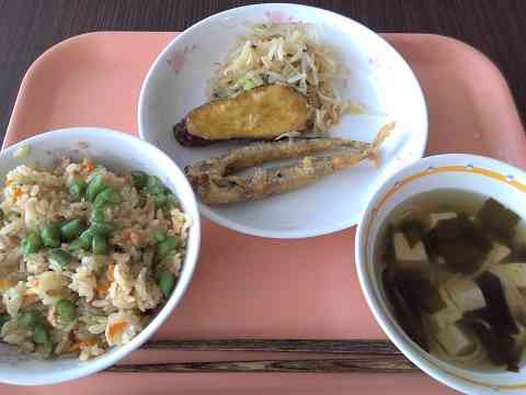 給食