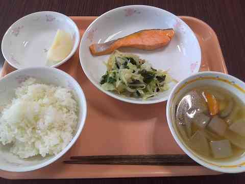 給食