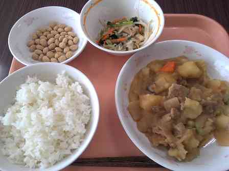 給食