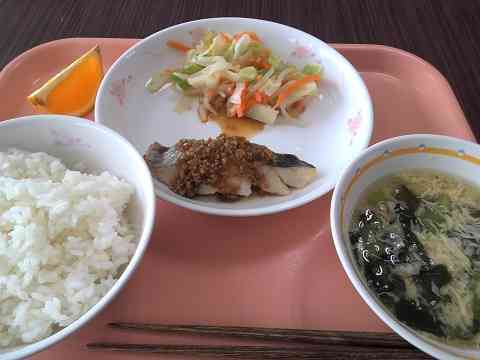 給食