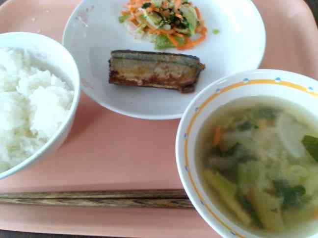 給食