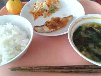給食
